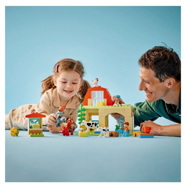 LEGO 10416_9